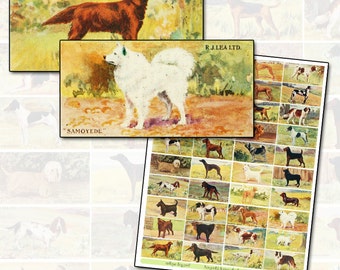 Antique Dog Breeds Domino Digital Collage Sheet 2x1 horizontal domino size