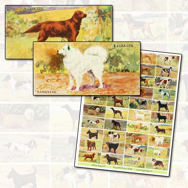 Antique Dog Breeds Domino Digital Collage Sheet 2x1 horizontal domino size