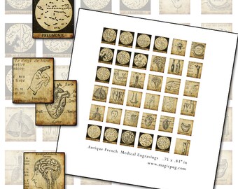 Antique French Medical and Anatomy Scrabble tile digital collage sheet .75 x .83 in 19mm x 21mm