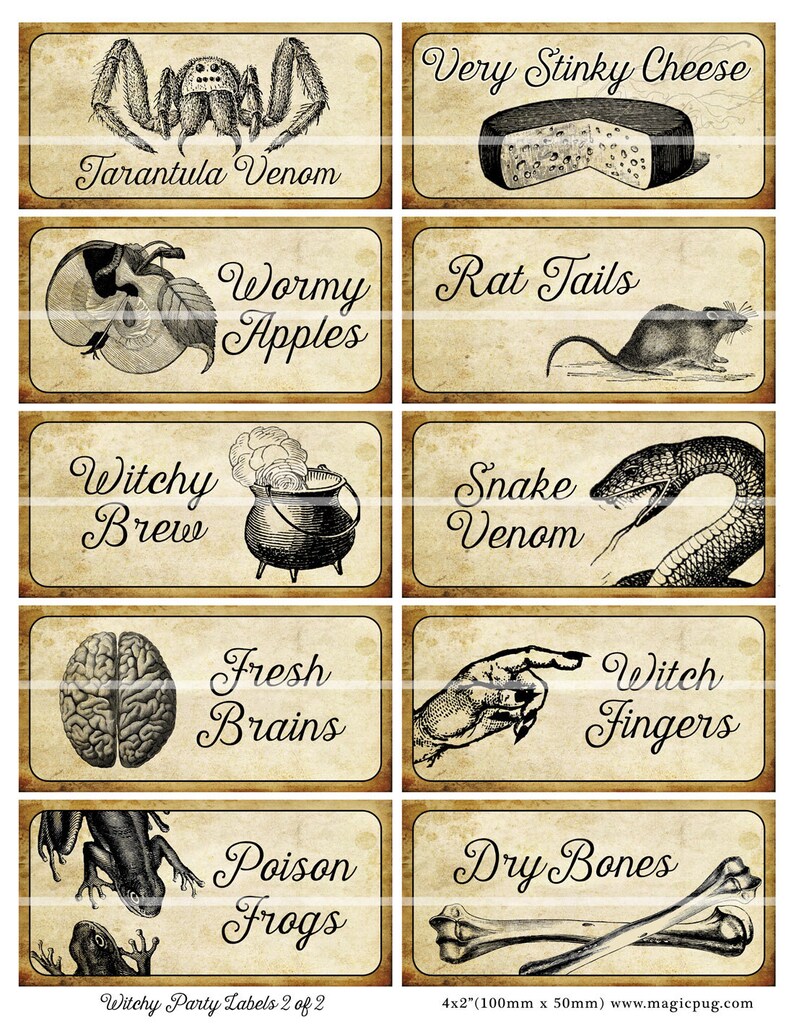 Halloween Witch Party Potion Label Set 4x2 in Digital Collage - Etsy