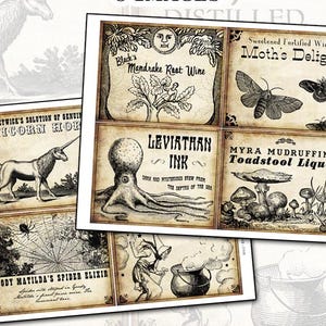 Ensemble de feuilles de collage numérique, étiquettes de vin de sorcière, 4 x 5, pour potions, dîners d'Halloween, décorations de fête, étiquette de bouteille de vin d'art postal