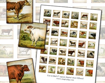 Antique Cows 1x1 inch digital collage sheet inchies agriculture farm animal cattle country farm ranch spotted