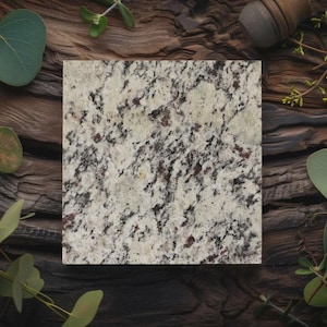 May include: A square granite tile with a speckled pattern of white, black, and burgundy. The tile is set against a dark, textured wooden surface, with green foliage accents. This stone tile is suitable for kitchen or bathroom applications.