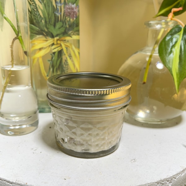 Made to Order Sourdough Starter & Instructions On How to Maintain *GF and Non-GF