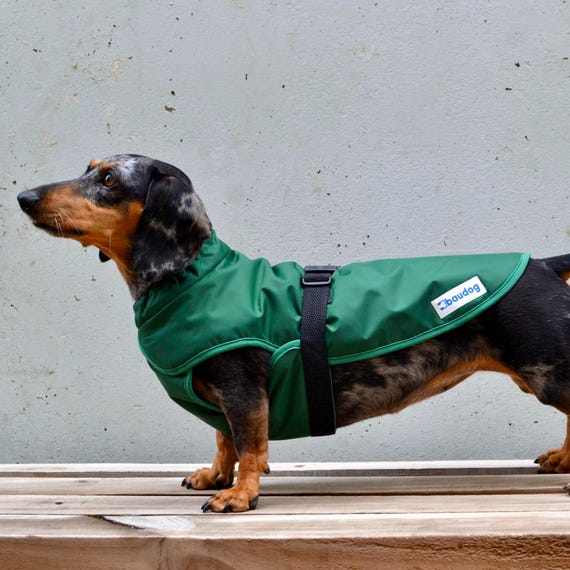 Abrigo Impermeable Abrigo Teckel Abrigo Perro Teckel Abrigo