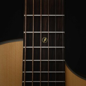 May include: A detailed shot of a guitar's fretboard, with strings and frets in view. The dark wood fretboard has a small, gold bird inlay. The guitar's body is visible on the left, with a light wood grain.