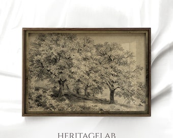 Vintage Landscape Sketch, Rustic Country Wall Art, Antique Mailed Print, S26 [Golden Scrolls]