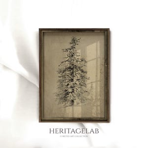 Minimalist Antique Tree Sketch Art • Vintage Neutral Sketch Drawing Wall Art  • Classic Housewarming Gift • Retro Rustic Study Art • S03