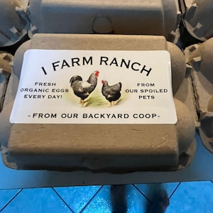 ORGANIC eggs- 100% fresh NON-GMO