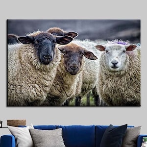 Sheep Canvas Wall Art: Farm Animal Poster Print