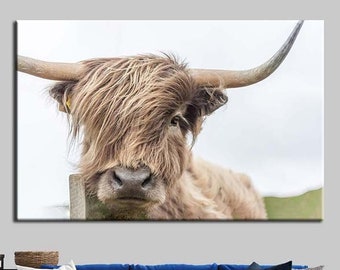 Highland Cow Canvas Print: Farmhouse Wall Art