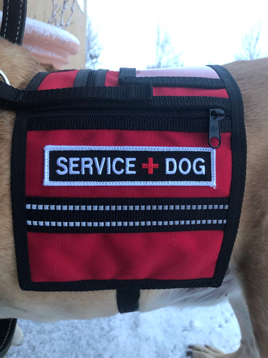 Red Service Dog cape vest with patches and ID pocket Etsy