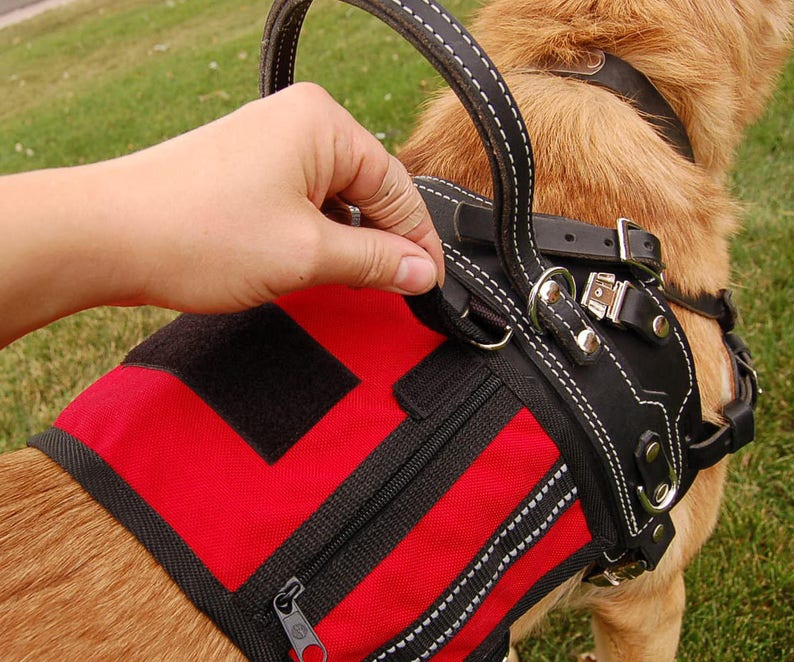 Service Dog Cape/Vest for Harness made to order 30 colors Etsy