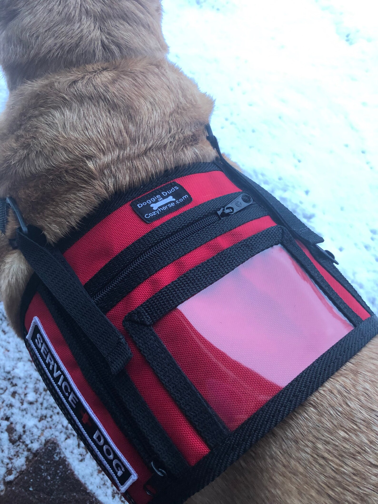 Red Service Dog cape vest with patches and ID pocket Etsy