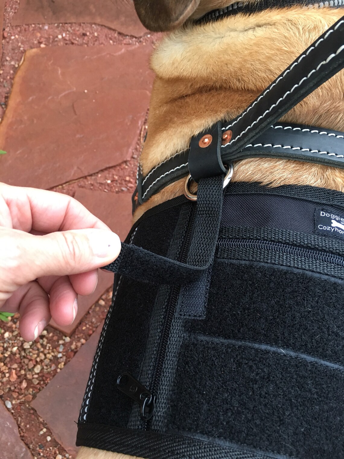 Royal Blue Service Dog cape /vest loop cape designed to attach Etsy