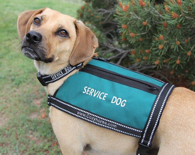 SERVICE DOG Vest Size MEDIUM Etsy