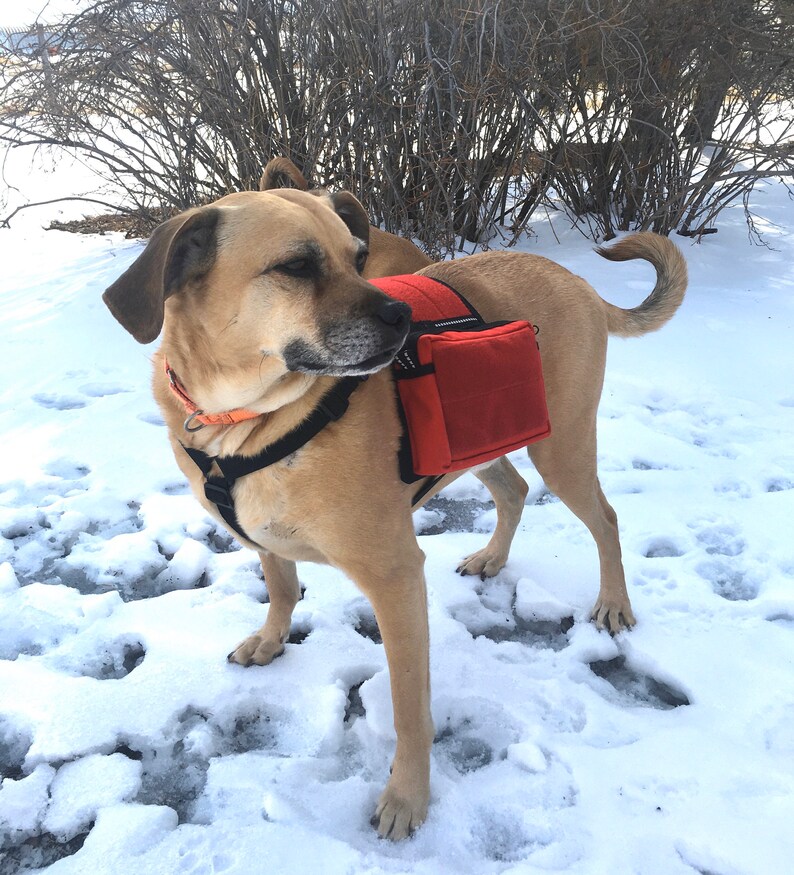 CozyHorse LOOP Service Dog Saddlebags Backpack for Harness Etsy