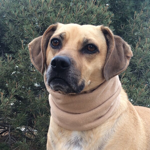 Warm Polar Fleece Snood for Dog, Tan polar fleece Dog Snood, size Medium