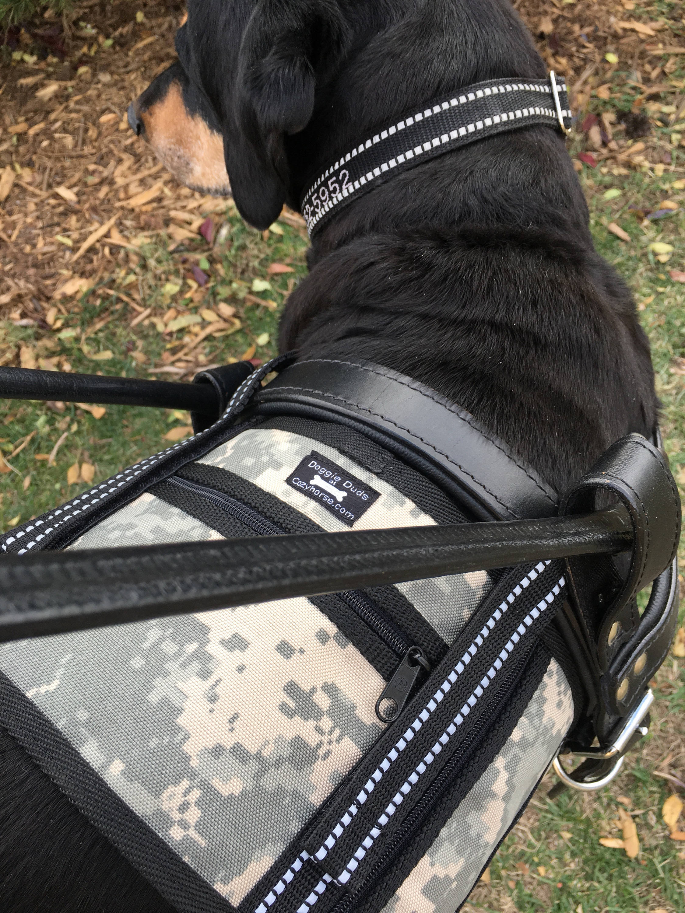 Cape for Guide Dog Harness Cape vest with pockets Service Etsy