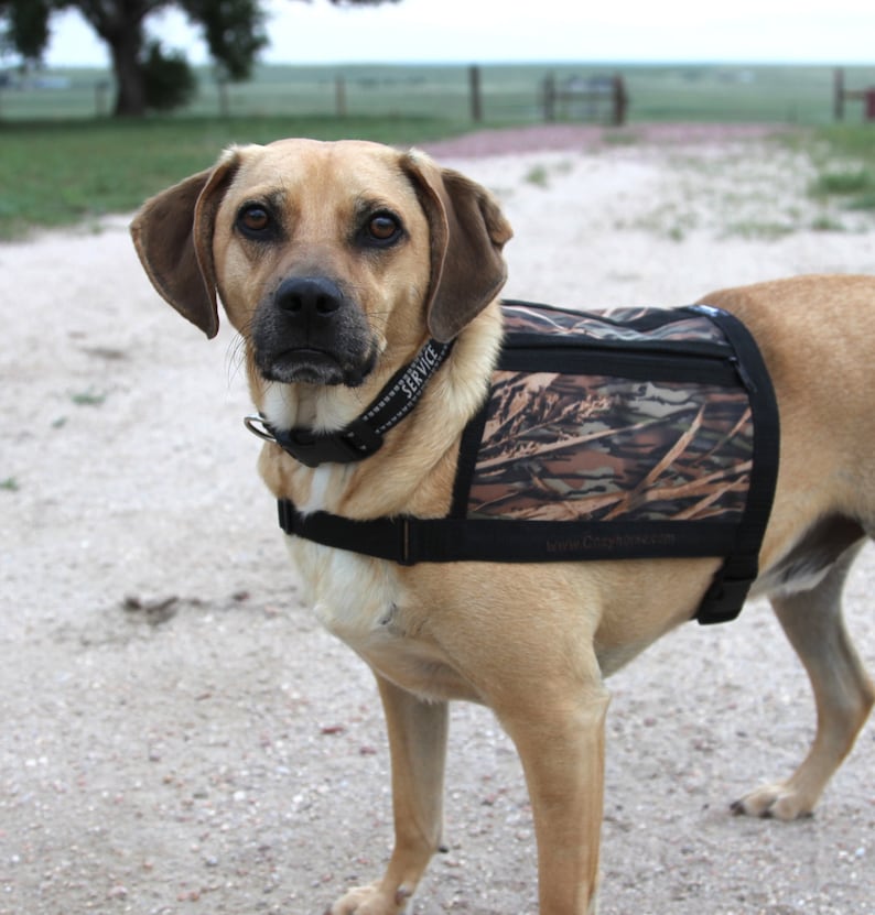Dog Vest With Pockets Size Medium Mossy Oak Camo Water Etsy