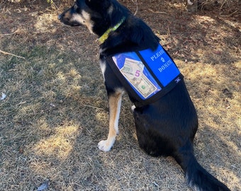 PLEASE DONATE Fundraising Dog Vest with large clear pockets for donations, Size MEDIUM - Royal Blue - dog vest for fund raising, adjustable