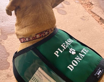 PLEASE DONATE Fundraising Dog Vest with large clear pockets for donations, Size Medium - GREEN - animal rescue, adoption event, parade