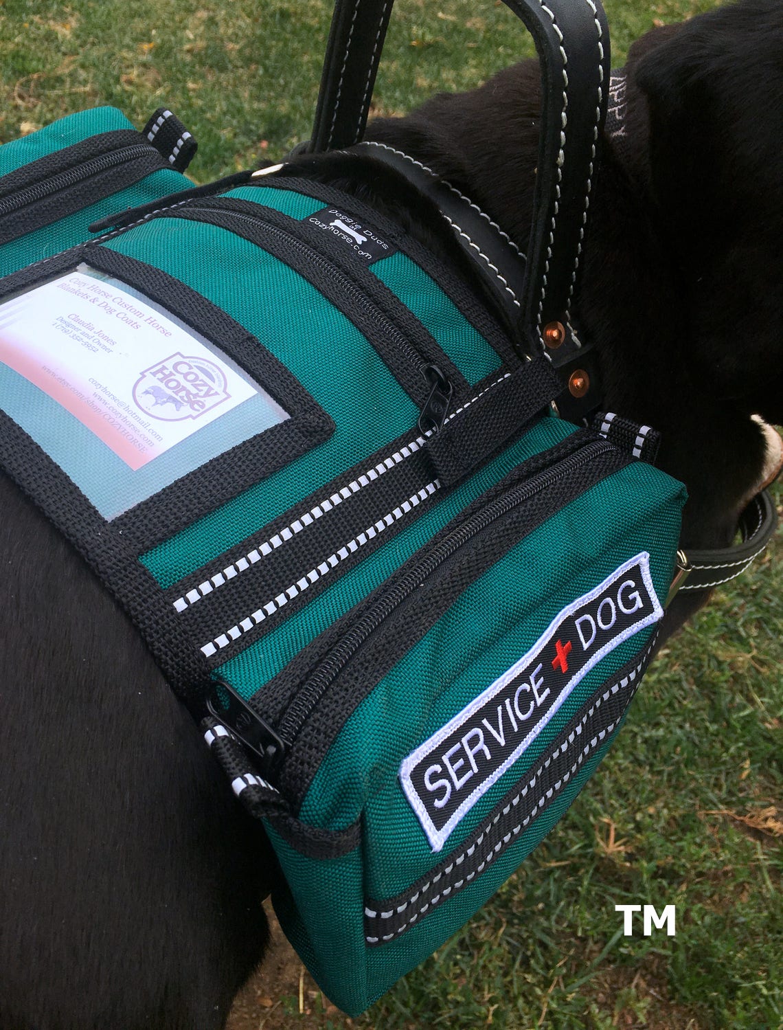 Teal Saddlebags with Service Dog patches ID pocket for dog Etsy