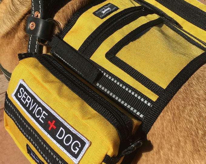 Service Dog Saddlebags, Backpack Style Vest That Can Attach to a Guide