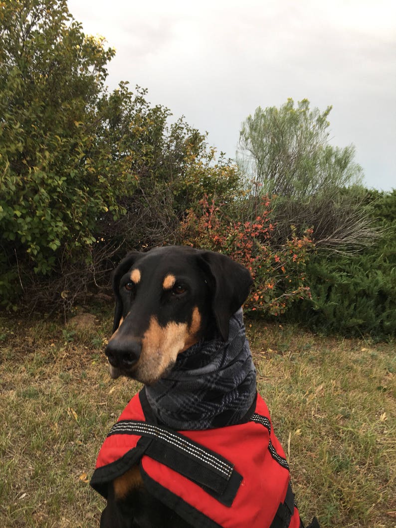 Snood für große Hund grau karierten Polarfleece Snood für Etsy