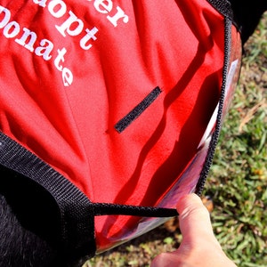 Foster Dog Jacket 'Looking For My Forever Home' – Hundeweste Für Pflegestellen (Größe L)