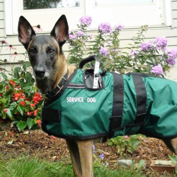 SERVICE DOG Raincoat - custom made to fit over BLD harness - Reserved listing for Brooke