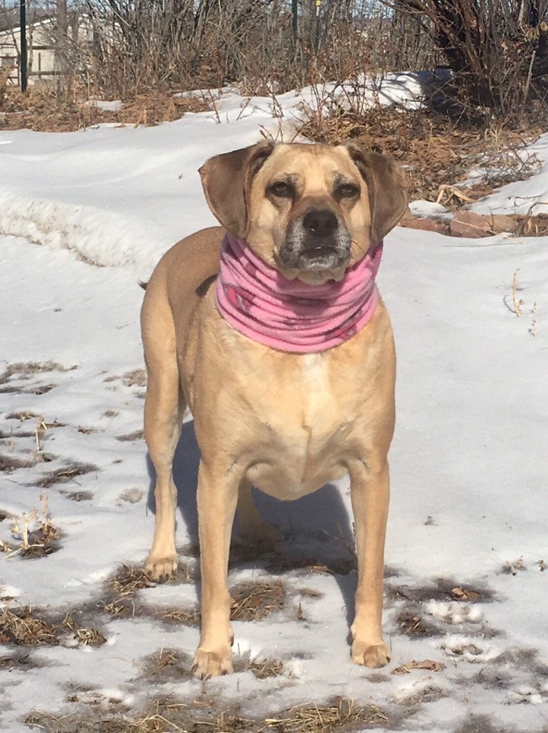 Pink Polar Fleece snood for MEDIUM size dog, terrier, puggle, poodle, whippet, pointer, vizsla snood image 5