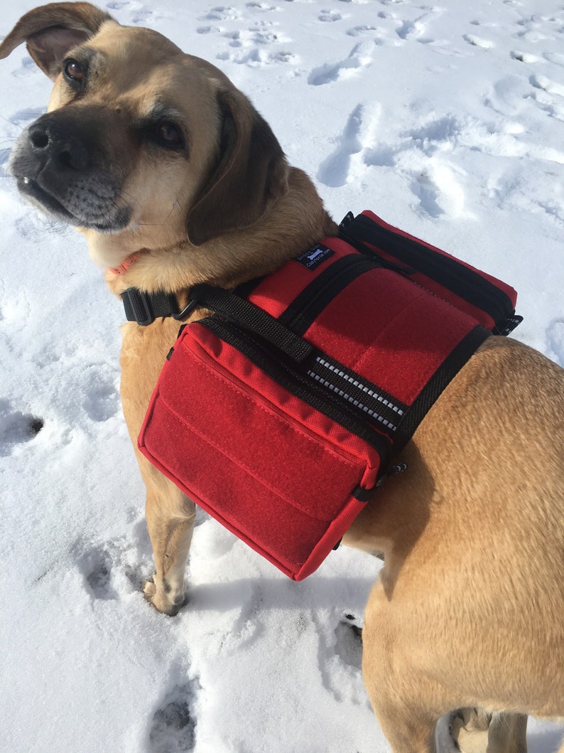 CozyHorse LOOP Service Dog Saddlebags Backpack for Harness Etsy