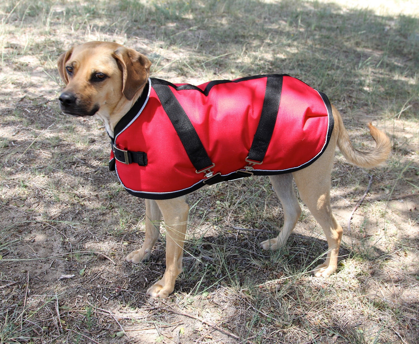 Winter Dog Coat size 19 Horse Blanket style with metal Etsy