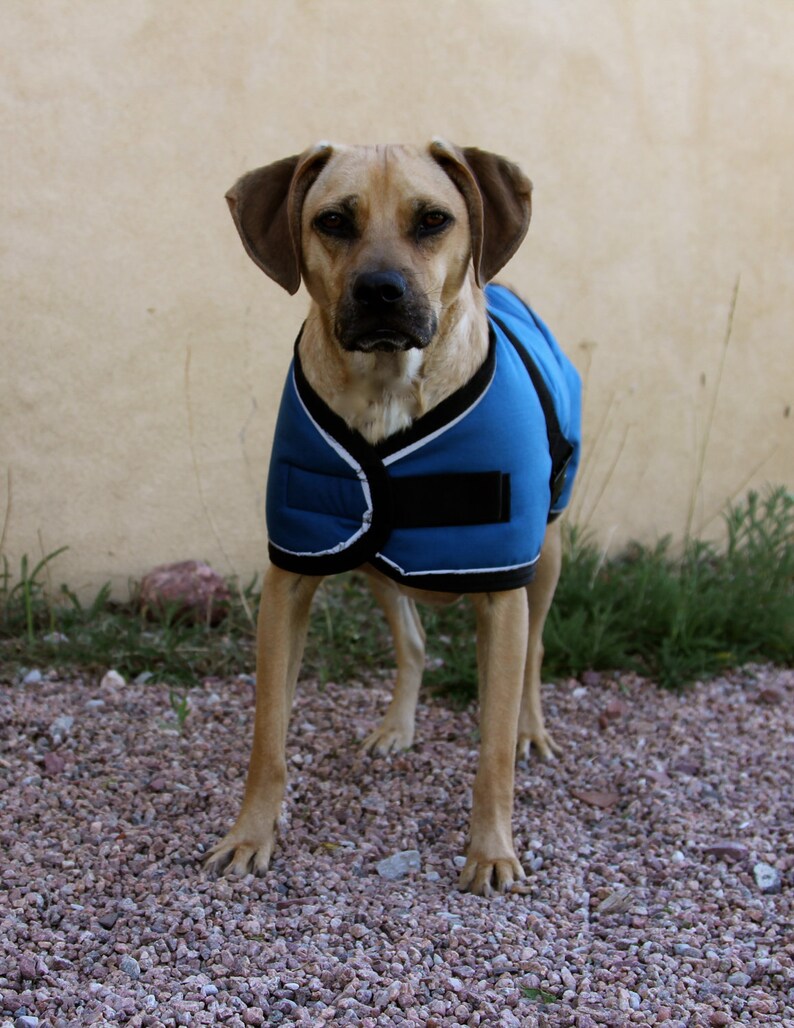 Warm Winter Dog Coat Size 21 Horse Blanket Style With Etsy