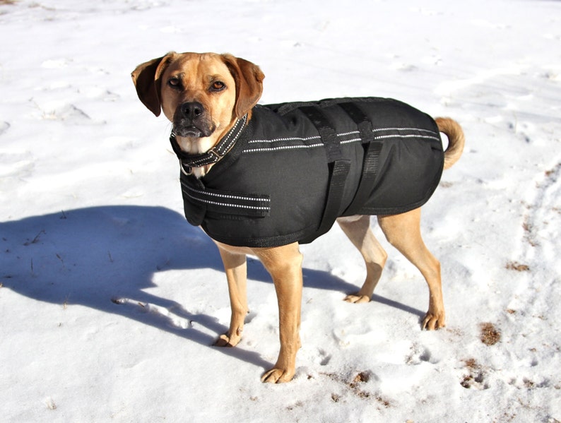 Extra Warm Winter Dog Coat size 20 waterproof and durable Etsy