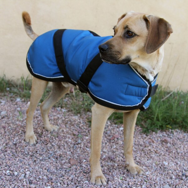 Warm Winter Dog Coat size 21 - horse blanket style with reflective piping and quick release buckles