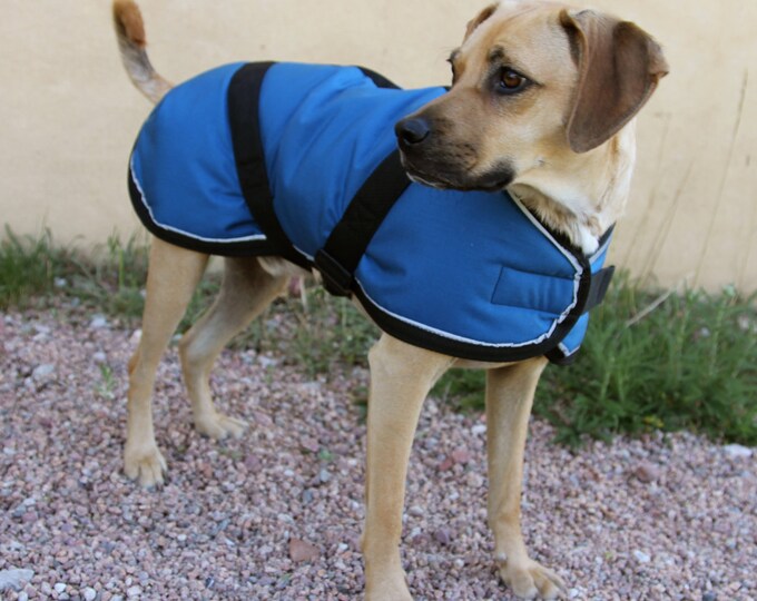 Warm Winter Dog Coat Size 21 Horse Blanket Style With Etsy