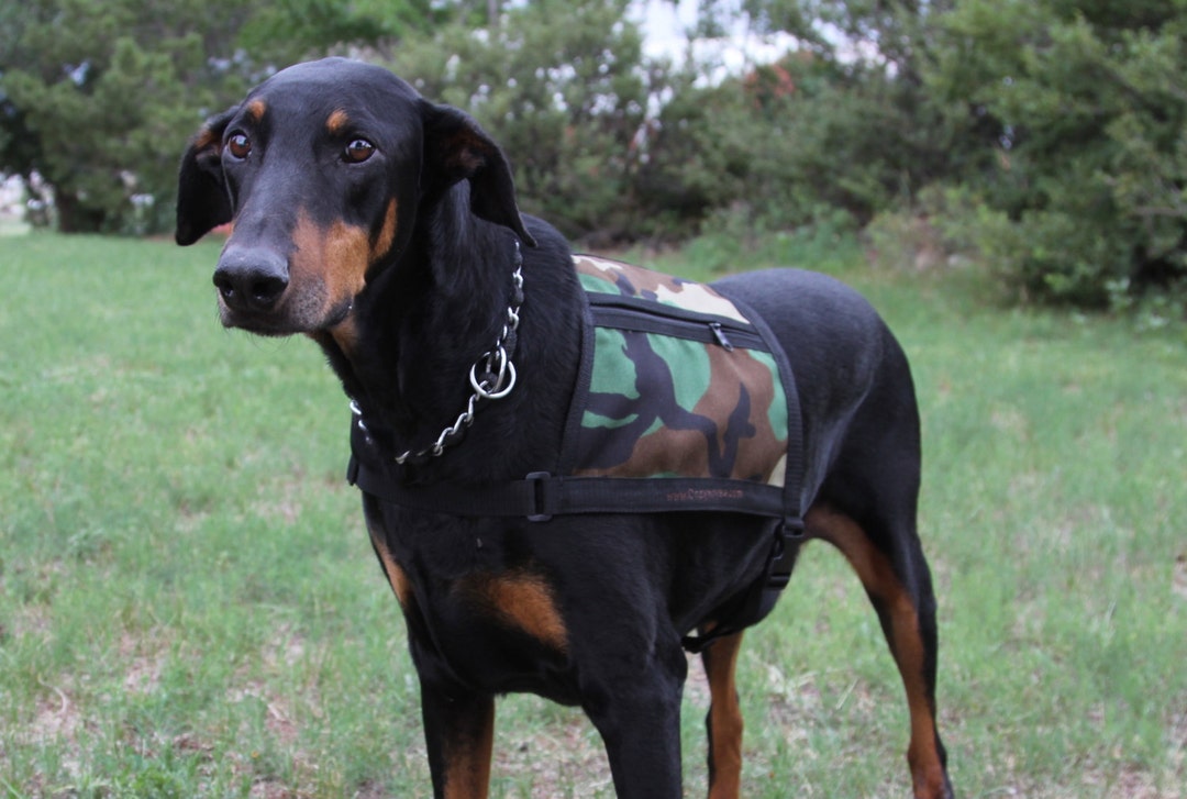 Camo Service Dog Vest Size LARGE With Large Zippered Pockets Etsy