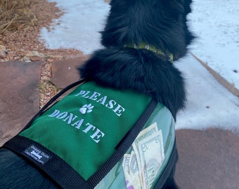 PLEASE DONATE Fundraising Dog Vest with large clear pockets for donations, Size Medium - GREEN - animal rescue, adoption event, parade