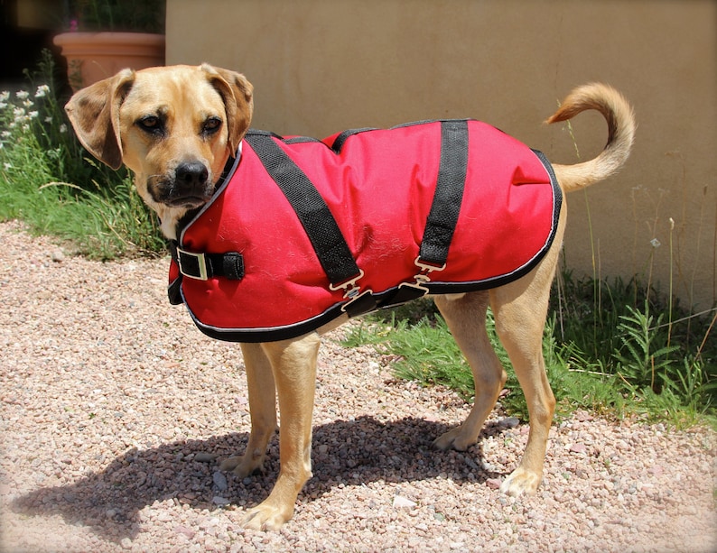 Winter Dog Coat size 19 Horse Blanket style with metal Etsy