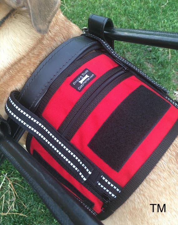 bridgeport guide dog harness