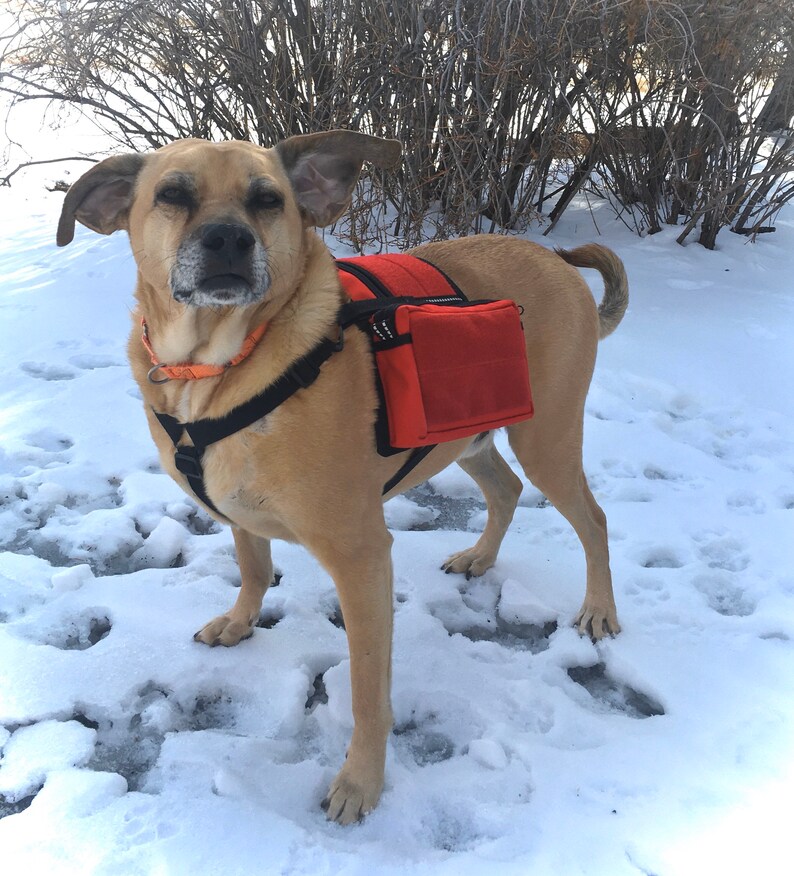 CozyHorse LOOP Service Dog Saddlebags Backpack for Harness Etsy