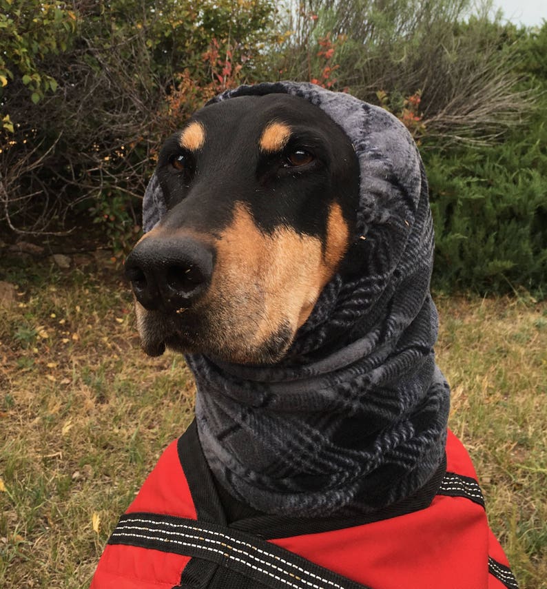 Snood für große Hund grau karierten Polarfleece Snood für Etsy