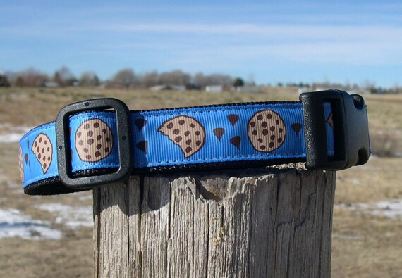 Cookie monster dog collar Clearance