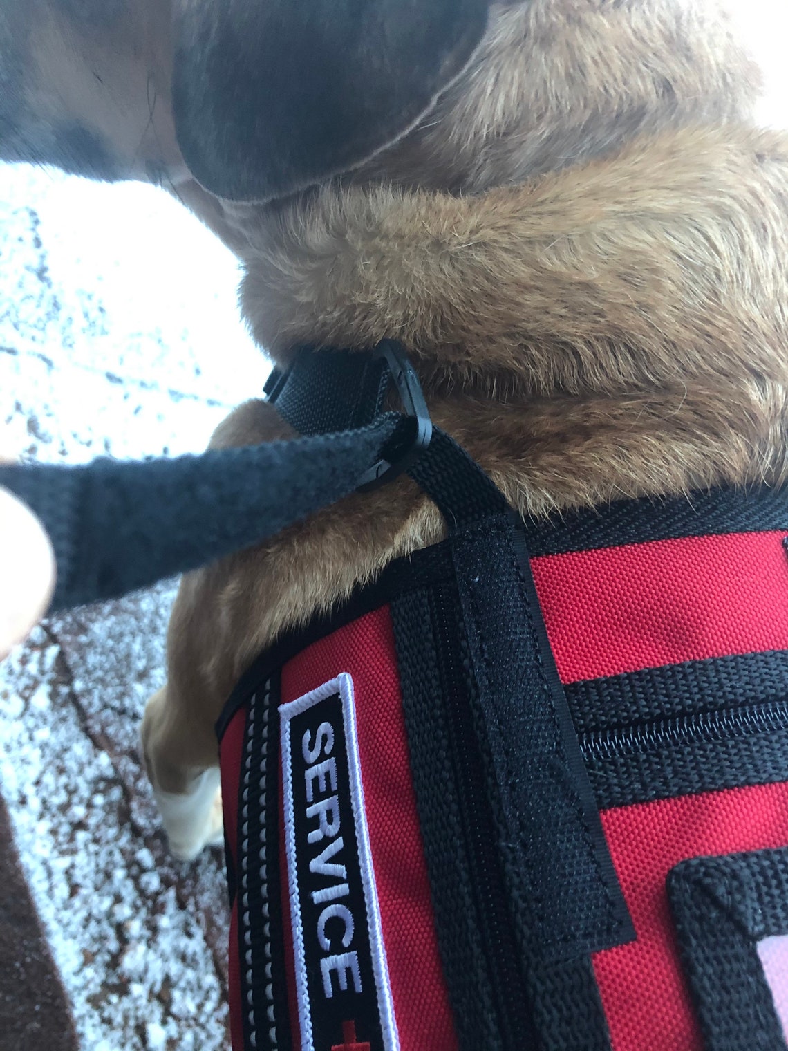 Red Service Dog cape vest with patches and ID pocket Etsy