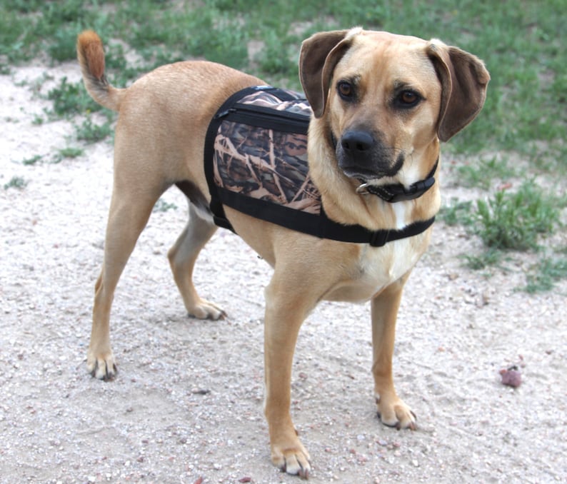 Dog Vest With Pockets Size Medium Mossy Oak Camo Water Etsy