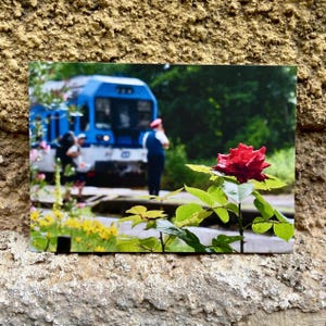 10 postales románticas de viajes en tren diferentes