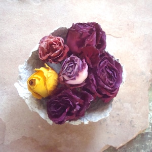 Dried Roses ~ Six Dried Rose Blooms ~ Floral Arrangement Supplies Organic Home Decor