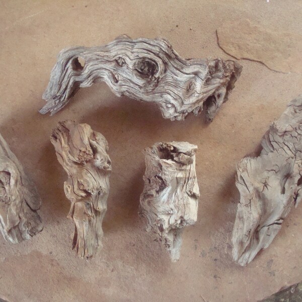 5 Desert Wood Textured  Pieces ~ Crafts Assemblage Sculpture ~ Natural Organic ~ Hobbit Fairy Terrarium